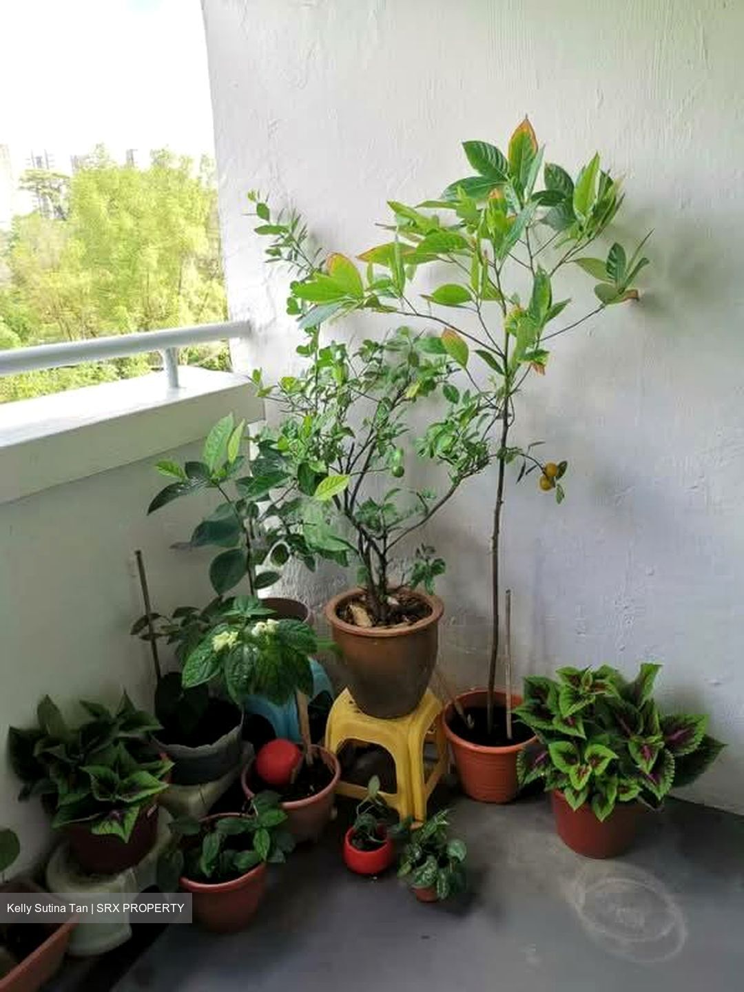 Blk 212 Bukit Batok Street 21 (Bukit Batok), HDB 4 Rooms #583284281